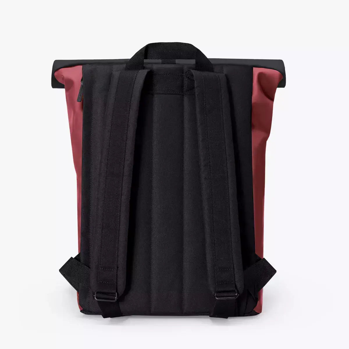 Jannik Mini Lotus Infinity Burgundy Sand Backpack back view showcasing dual straps and roll-top design.