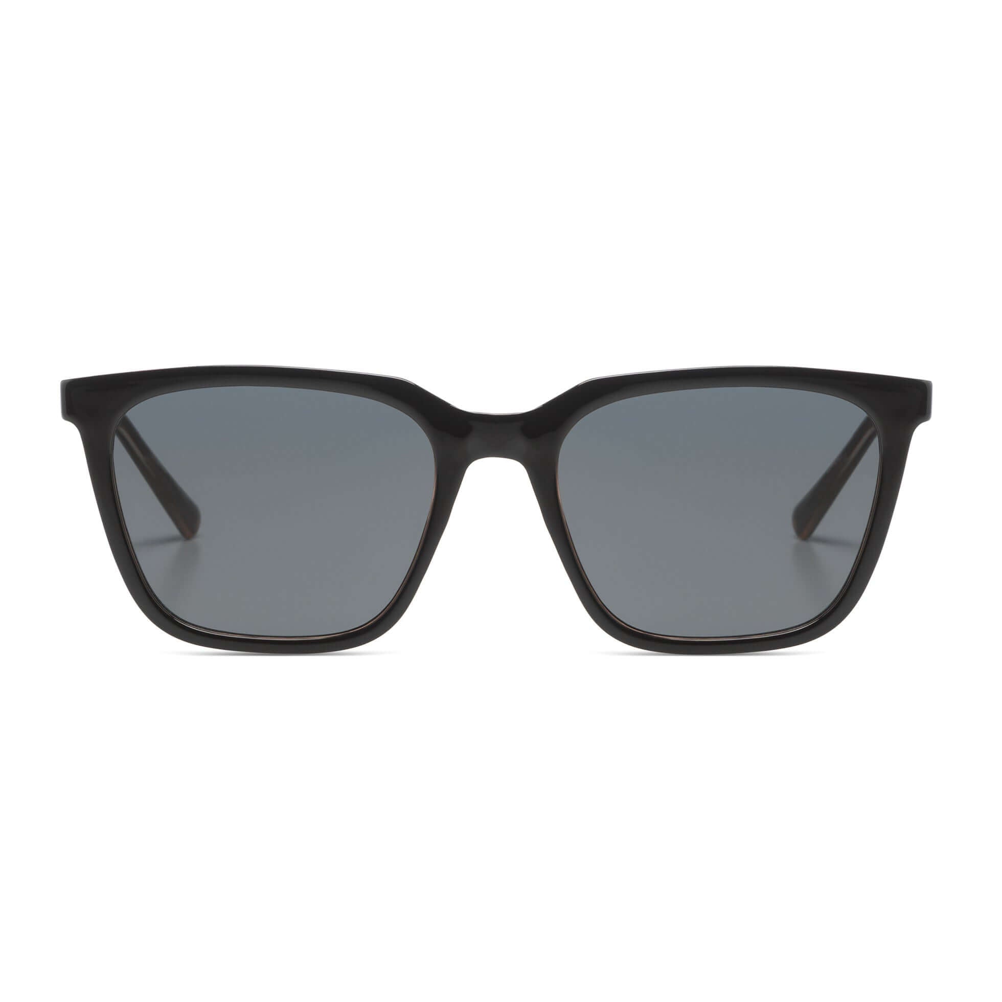 Jay Black Tortoise-1