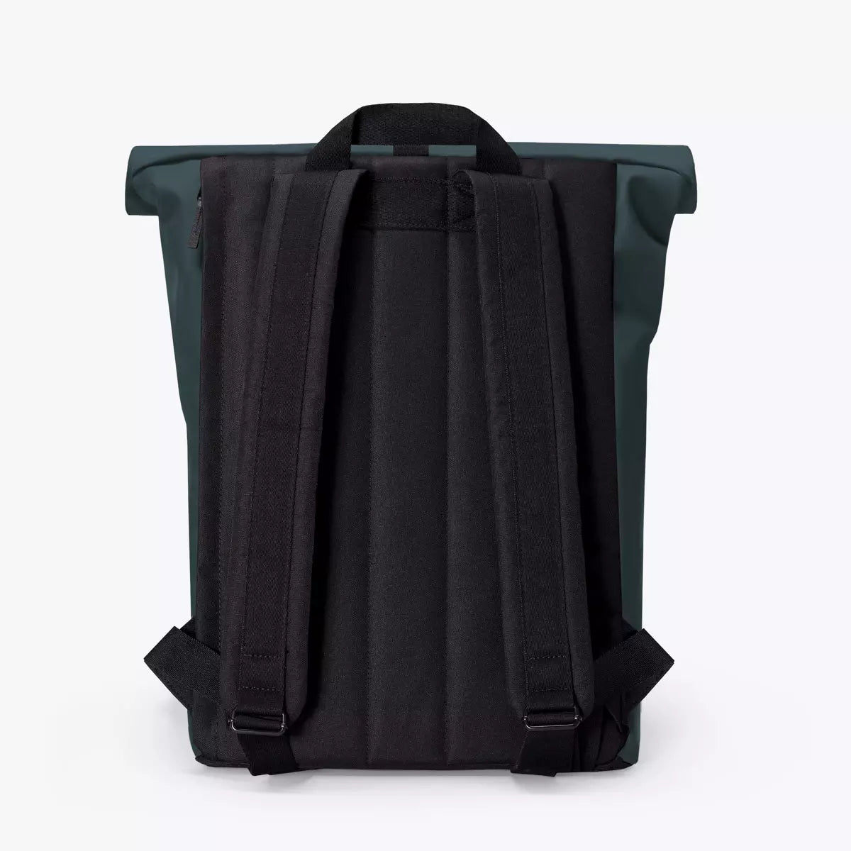 Back view of Jannik Medium Lotus Infinity Forest Backpack with durable straps and roll-top closure.