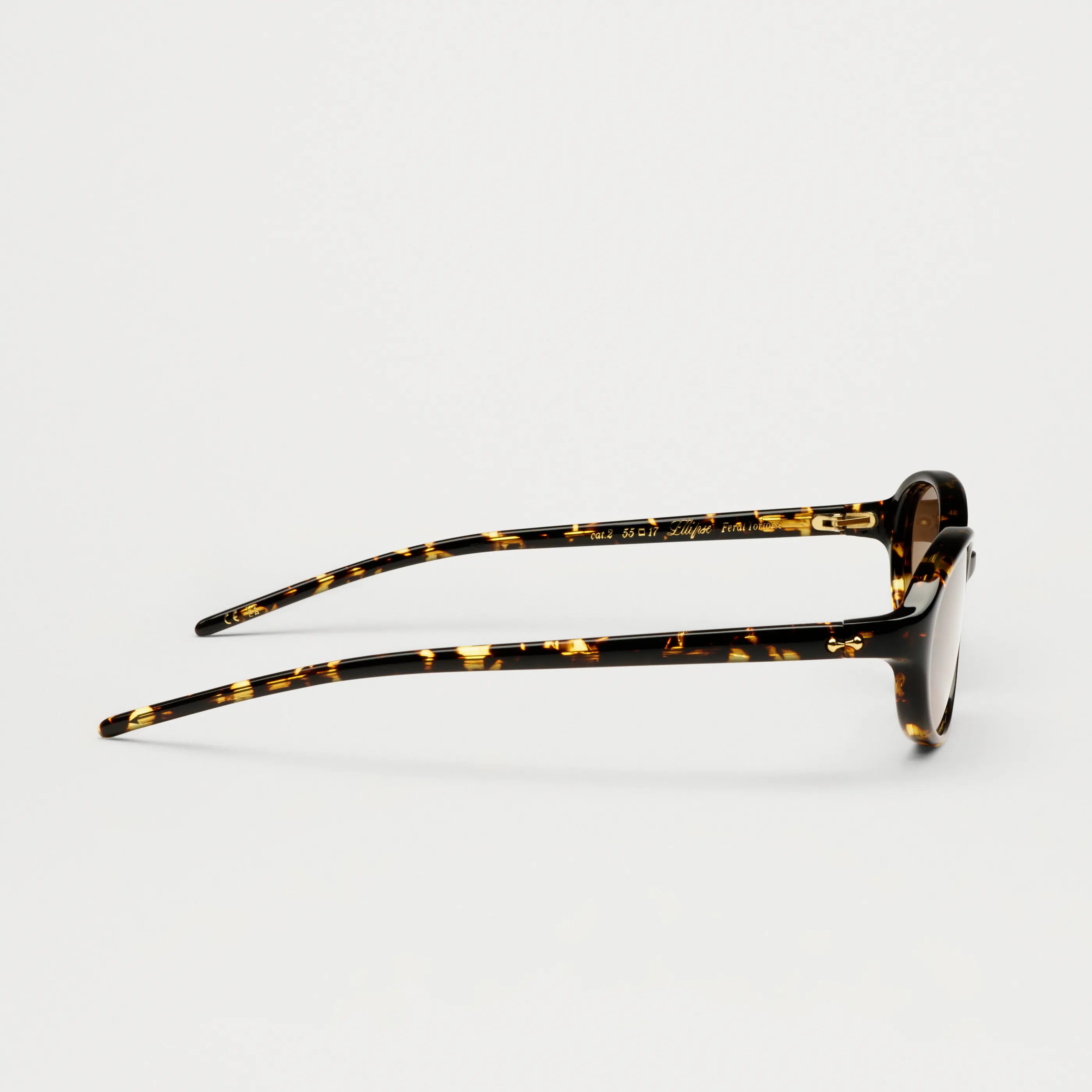 Ellipse Feral Tortoise Sunglasses in a side view showcasing the stylish design and durable material.