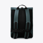 Rolltop Rucksack Mystique Backpack back view showing padded straps and mesh panel.