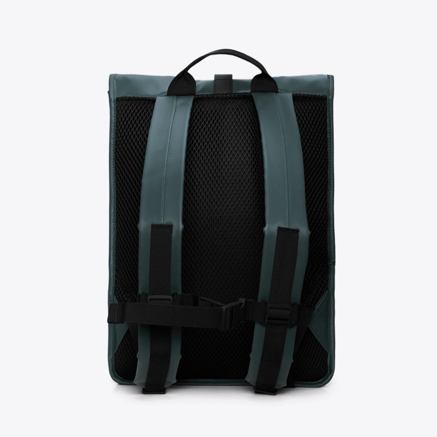 Rolltop Rucksack Mystique Backpack back view showing padded straps and mesh panel.