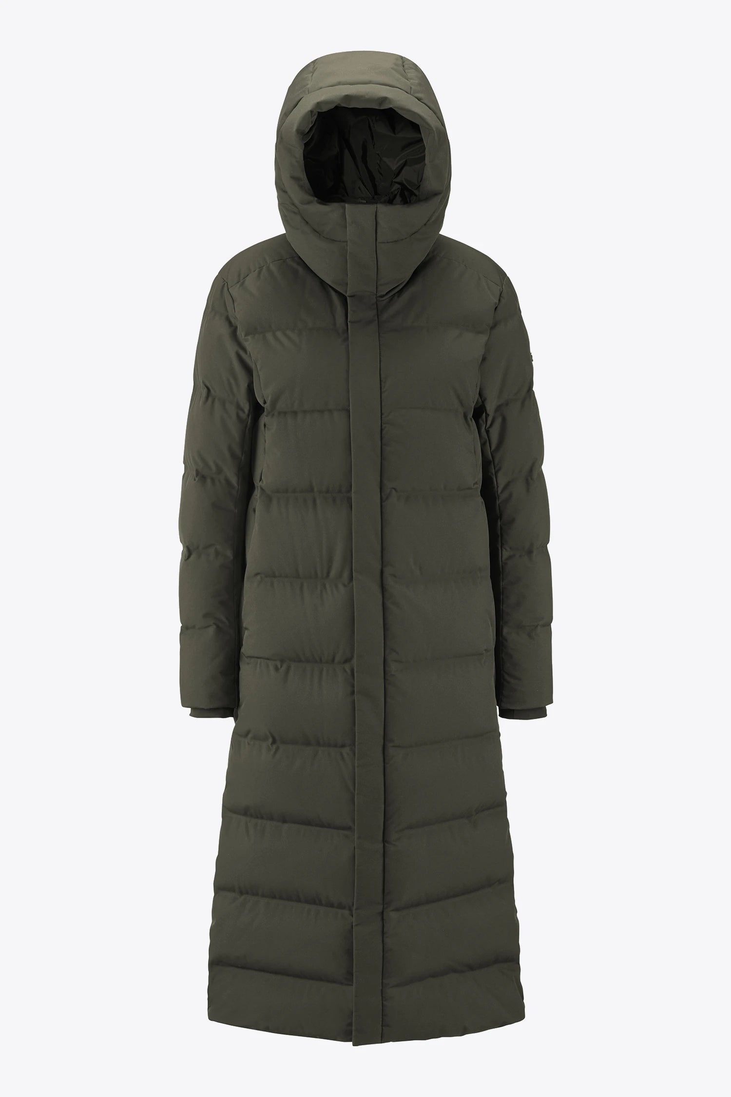 Meridian II Olive Jas