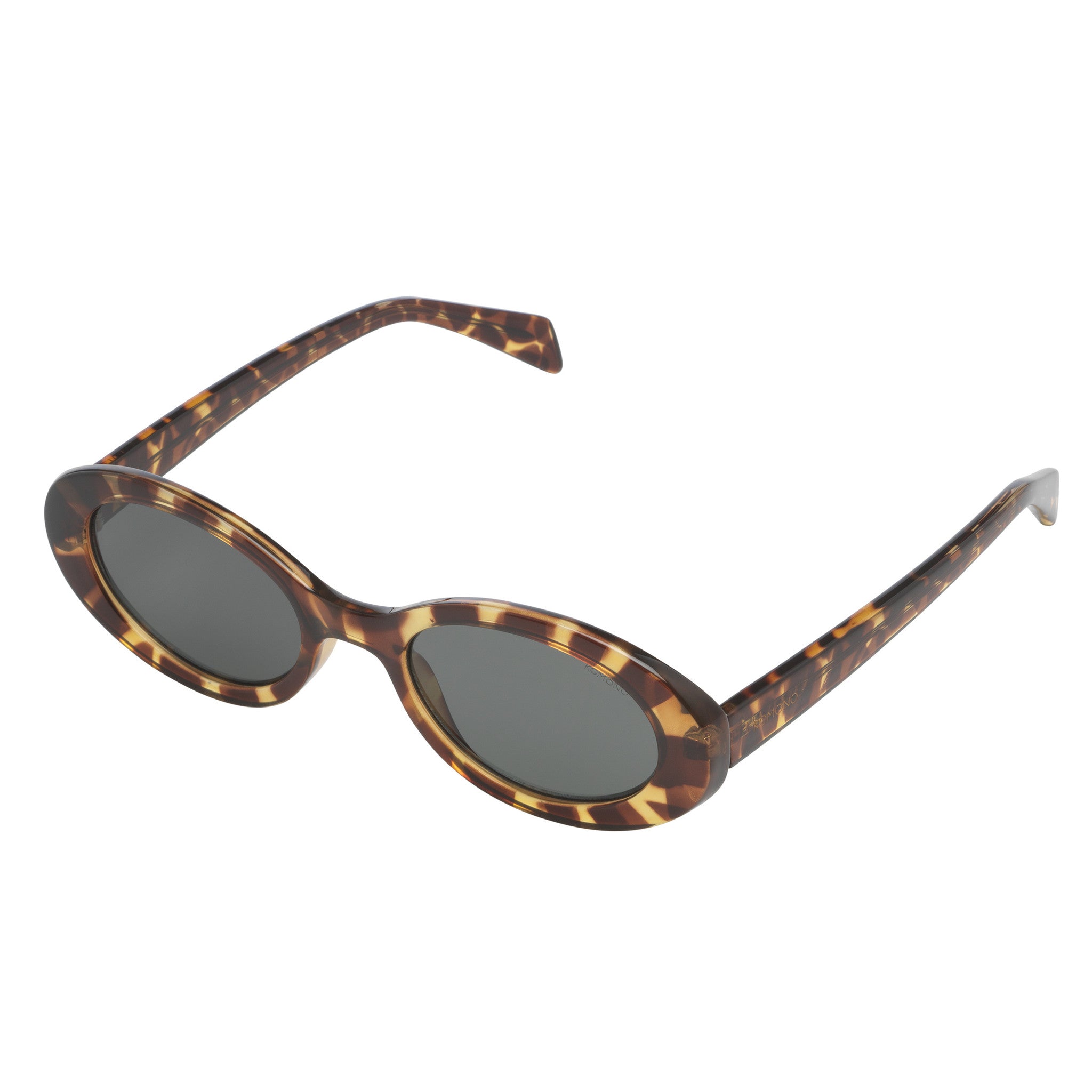 Ana Tortoise-2