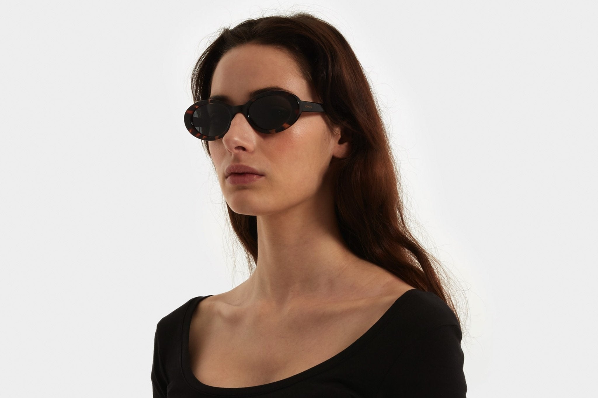 Ana Tortoise-3