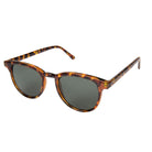 Francis Tortoise-1