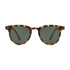 Francis Tortoise-2