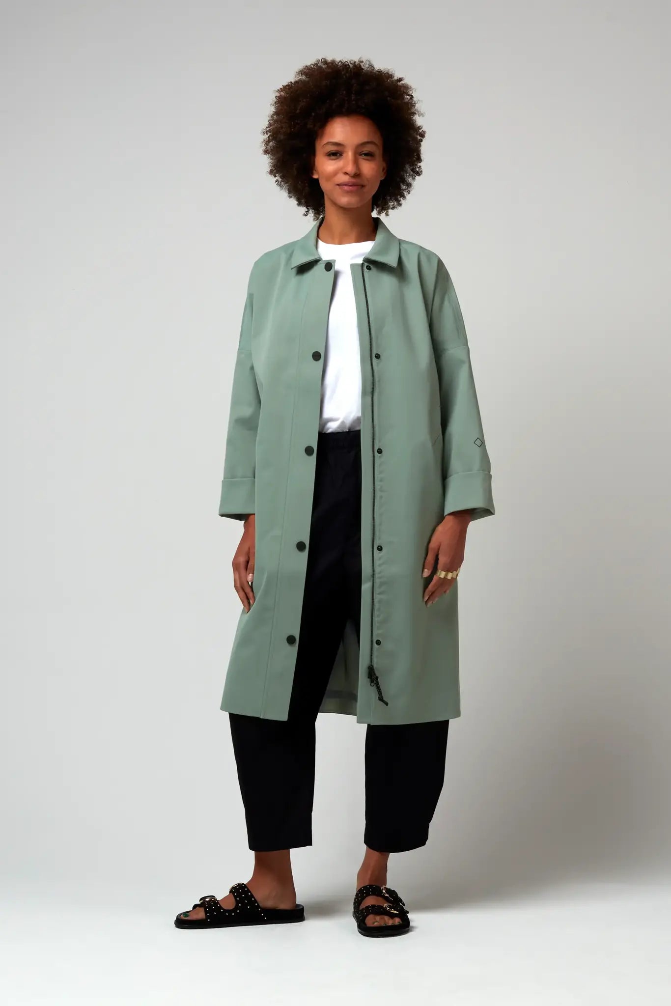 GoFranck The Dry Iceberg Green_1