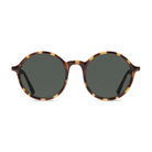 Madison Tortoise-2